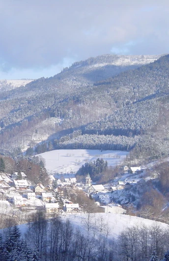 Bad Peterstal im Winter