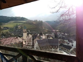 Blick auf Bad Peterstal