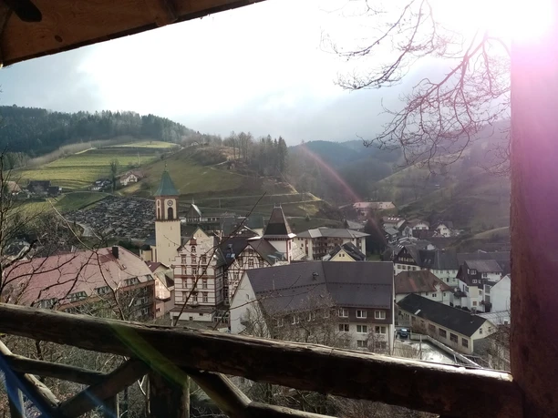 Blick auf Bad Peterstal