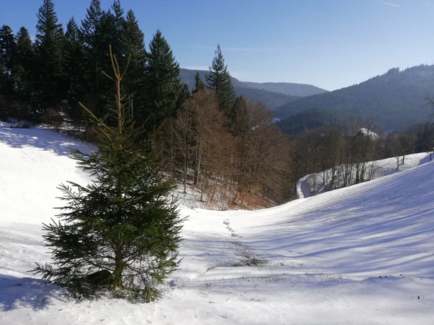 Verschneite Winterlandschaft