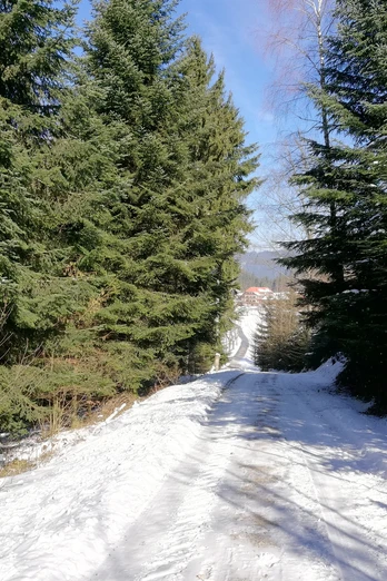 Winterwanderweg im Sonnenschein