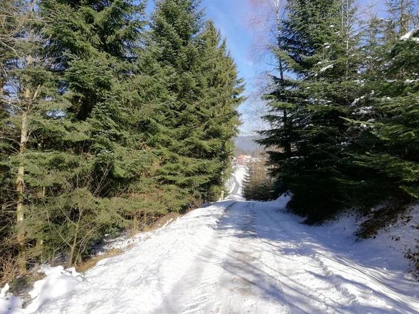 Winterwanderweg im Sonnenschein