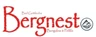 Bergnest_Logo Bergnest_Logo
