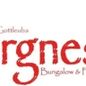 Bergnest_Logo Bergnest_Logo
