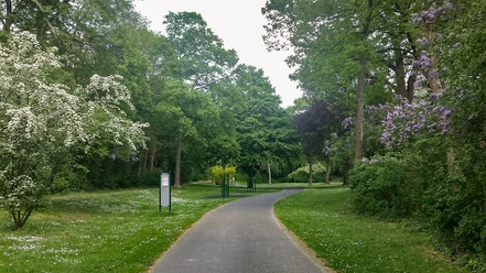 Weg durch Park an dem eine Klimmzugstange steht.