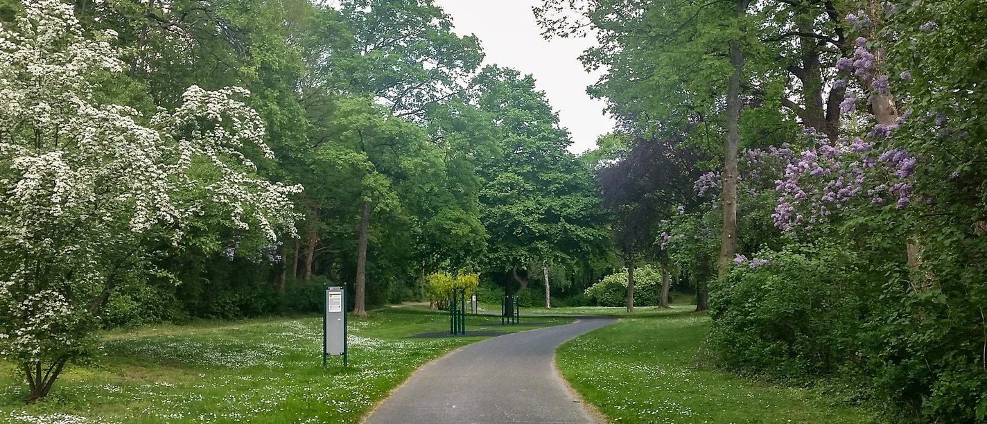 Weg durch Park an dem eine Klimmzugstange steht.