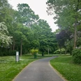 Fitnesspark.jpg Weg durch Park an dem eine Klimmzugstange steht.