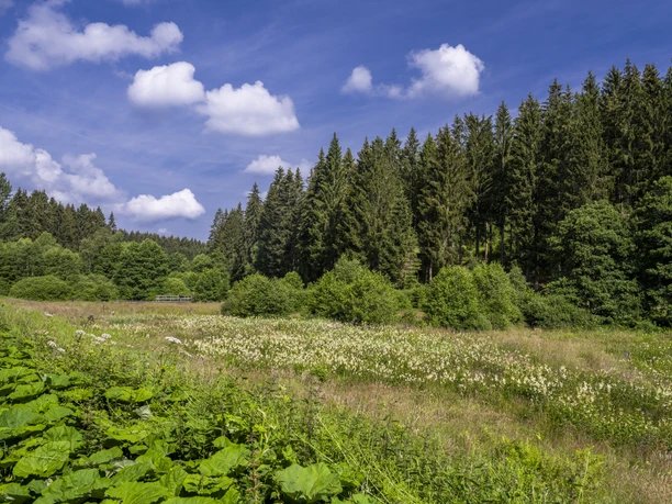 Natur im Schwarzbachtal Blick in die Landschaft im Schwarzbachtal