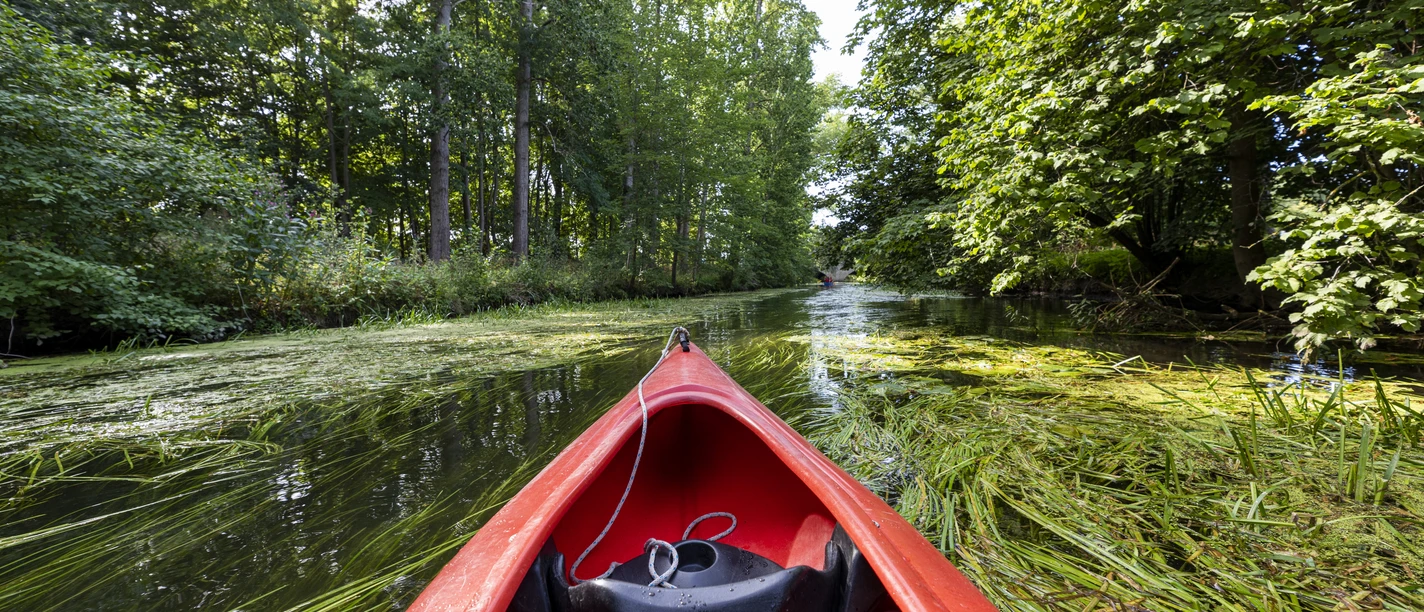 Kanu auf der Oker Blick aus einem Kanu auf einen Fluss im Grünen