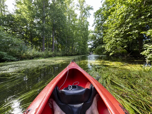 Blick aus einem Kanu auf einen Fluss im Grünen