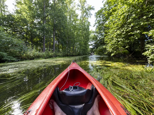 Kanu auf der Oker Blick aus einem Kanu auf einen Fluss im Grünen