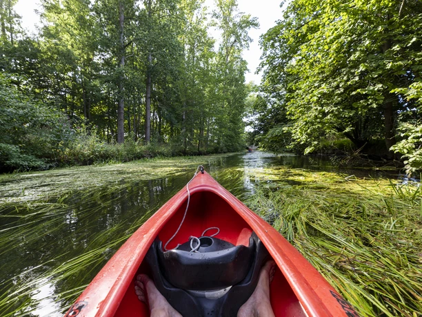 Kanu auf der Oker Blick aus einem Kanu auf einen Fluss im Grünen