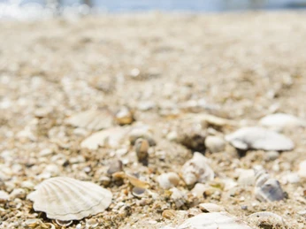 063butjadingen 9589.jpg