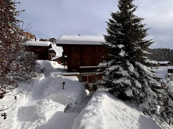 WhatsApp Bild 2025-01-06 um 14.05.34_36f8e930