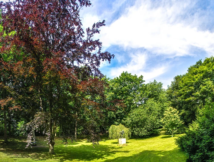 Blumenwall, Stürmender Jäger Blumenwall, Stürmender Jäger