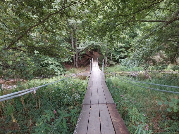 WhatsApp Image 2024-12-19 at 14.10.05.jpeg