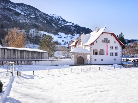 Winkelriedhaus in winter