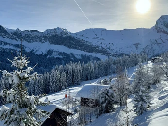 View Chalet Hörler in winter