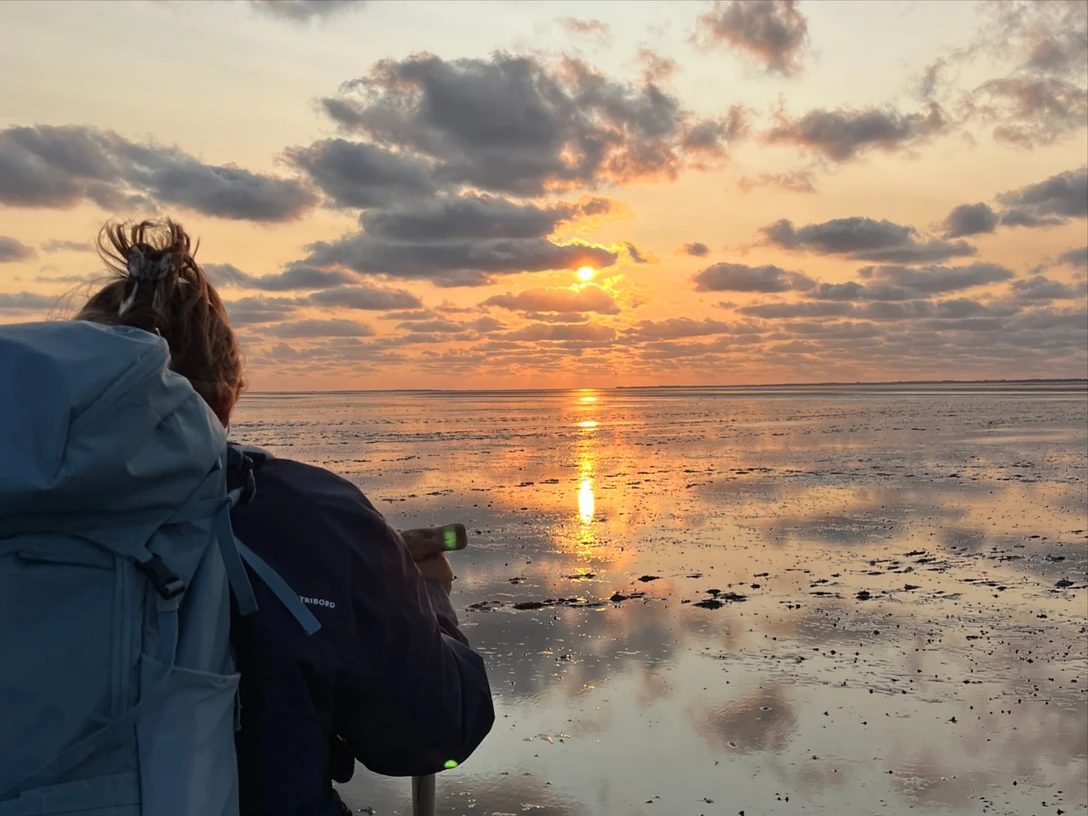 Nationalpark-Wattwanderung__Stimmungsvoll_in_den_Sonnenuntergang2.jpg