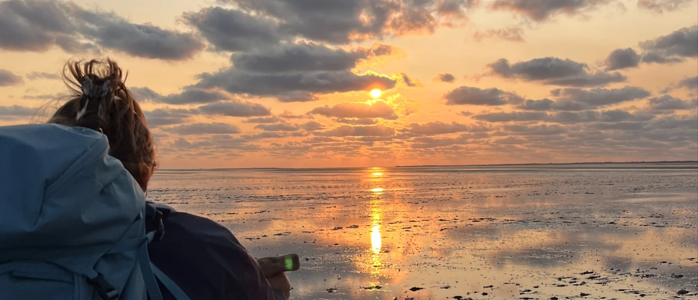 Nationalpark-Wattwanderung__Stimmungsvoll_in_den_Sonnenuntergang2.jpg