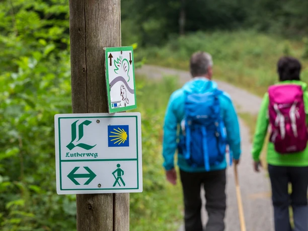 Unterwegs auf dem Lutherweg durch die Dübener Heide