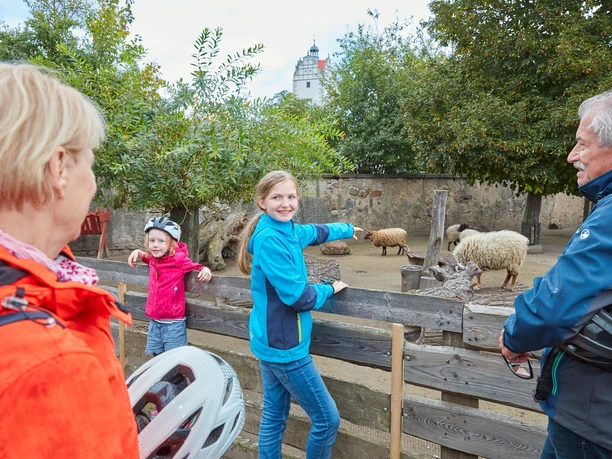 Kleintierzoo mit Schloss Strehla