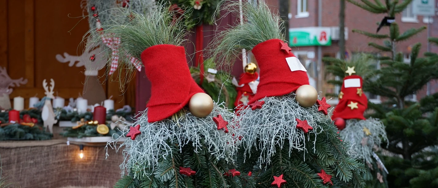 Weihnachtswichtel Weihnachtlich geschmückte Tannenzweige mit roten Zipfelmützen und goldenen Kugeln auf dem Markt.
