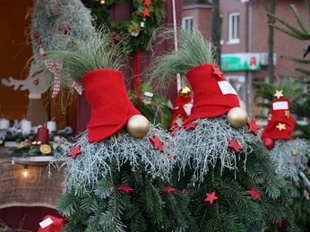 Weihnachtswichtel Weihnachtlich geschmückte Tannenzweige mit roten Zipfelmützen und goldenen Kugeln auf dem Markt.Christmas decorated fir branches with red pointed caps and golden baubles on the market.Julepyntede grangrene med røde spidse hætter og gyldne kugler på markedet.Met kerst versierde sparrentakken met rode puntmutsen en gouden kerstballen op de markt.
