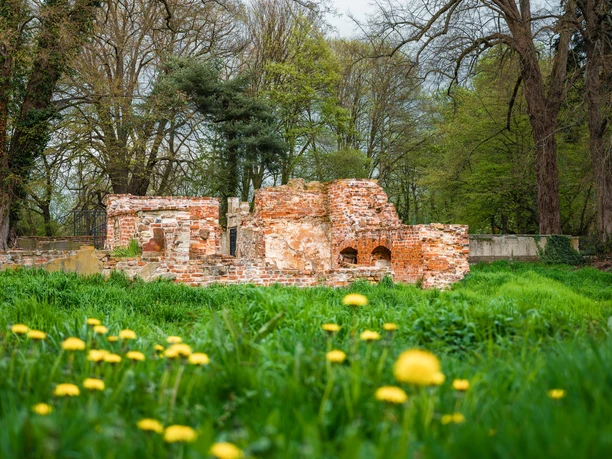 Ellerburg Ruine der Ellerburg, umgeben von blühenden Löwenzahnwiesen und hohen Bäumen im Hintergrund.