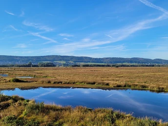 Weitläufige Moorlandschaft mit blauem Himmel und Wolken, spiegelnde Wasserflächen im Vordergrund.