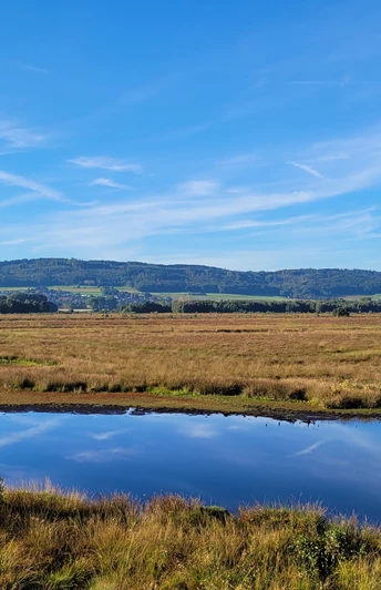 Weitläufige Moorlandschaft mit blauem Himmel und Wolken, spiegelnde Wasserflächen im Vordergrund.