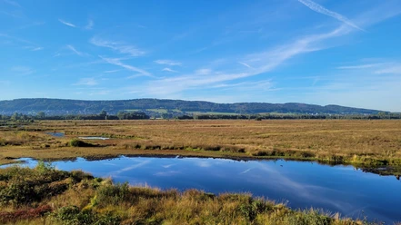 Großes Torfmoor Weitläufige Moorlandschaft mit blauem Himmel und Wolken, spiegelnde Wasserflächen im Vordergrund.