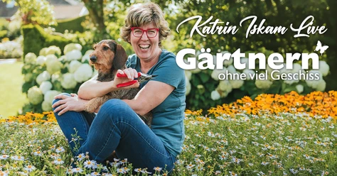 katrin-iIskam-fb-post-1200x628.png