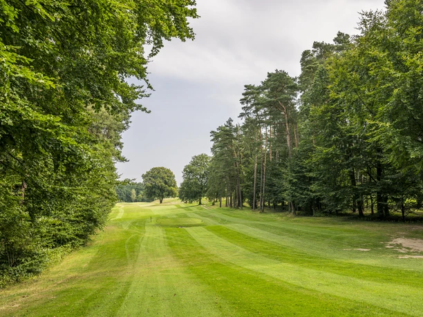 Hamburger Land- und Golf-Club Hittfeld Blick auf den Platz des Hamburger Land- und Golf-Club Hittfeld