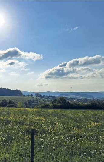 Aussicht auf Dietersweiler
