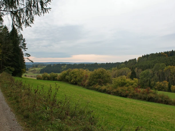 Das Birkental bei Glatten