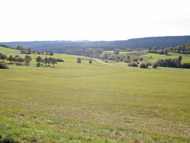 Zwischen Glatten und Dietersweiler
