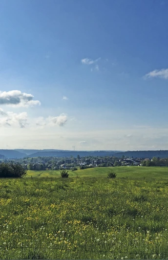 Aussicht auf Dietersweiler