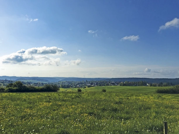 Aussicht auf Dietersweiler