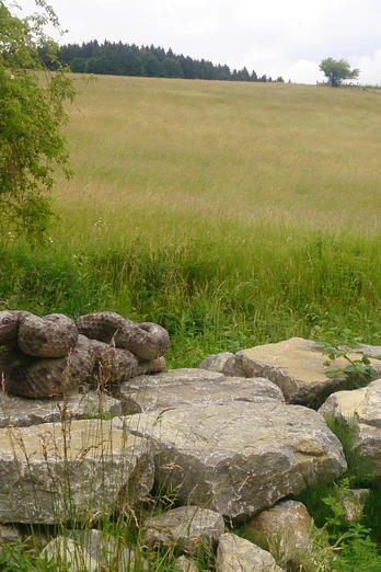 Wege der Vielfalt bei Ottbergen