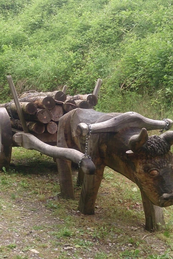 Ochsenkarren Ottbergen