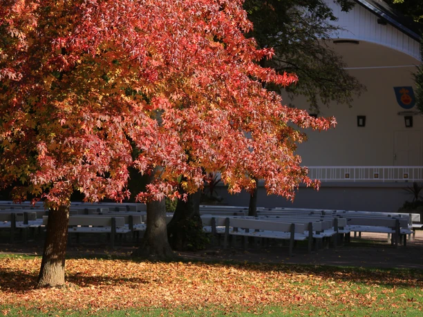 138HR - Bad Soden - Kurpark Herbst.JPG