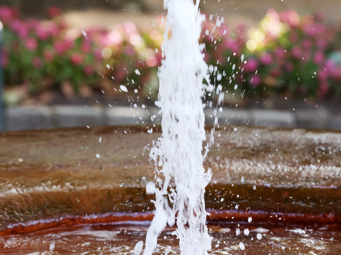 Bad Soden - Neuer Sprudel im Alten Kurpark Bad Soden - Neuer Sprudel im Alten Kurpark