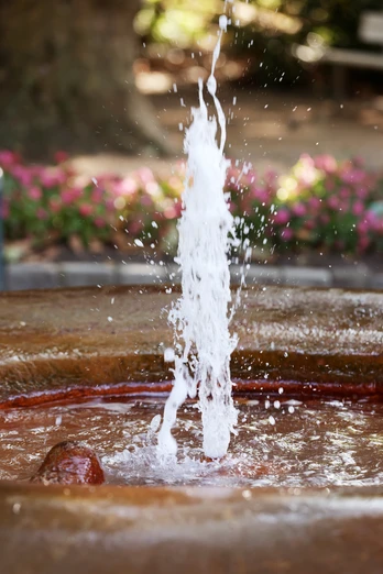 Bad Soden - Neuer Sprudel im Alten Kurpark Bad Soden - Neuer Sprudel im Alten Kurpark