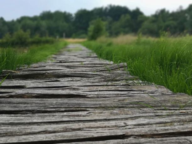 Bohlenweg am Moorerlebnispfad im Huvenhoopsmoor Bohlenweg Moorerlebnispfad