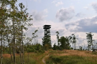 Kellerwaldturm