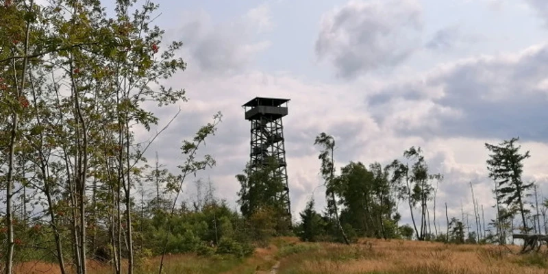 Kellerwaldturm