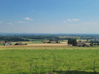 Weiter Blick über sanfte Hügel und Felder im Wiehengebirge, umgeben von verstreuten Bauernhöfen.