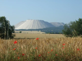 Monte Kali