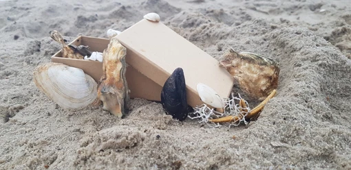Schatzkästchen_am_strand.jpg